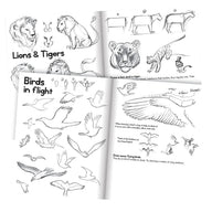 eeBoo Learn To Draw Animals