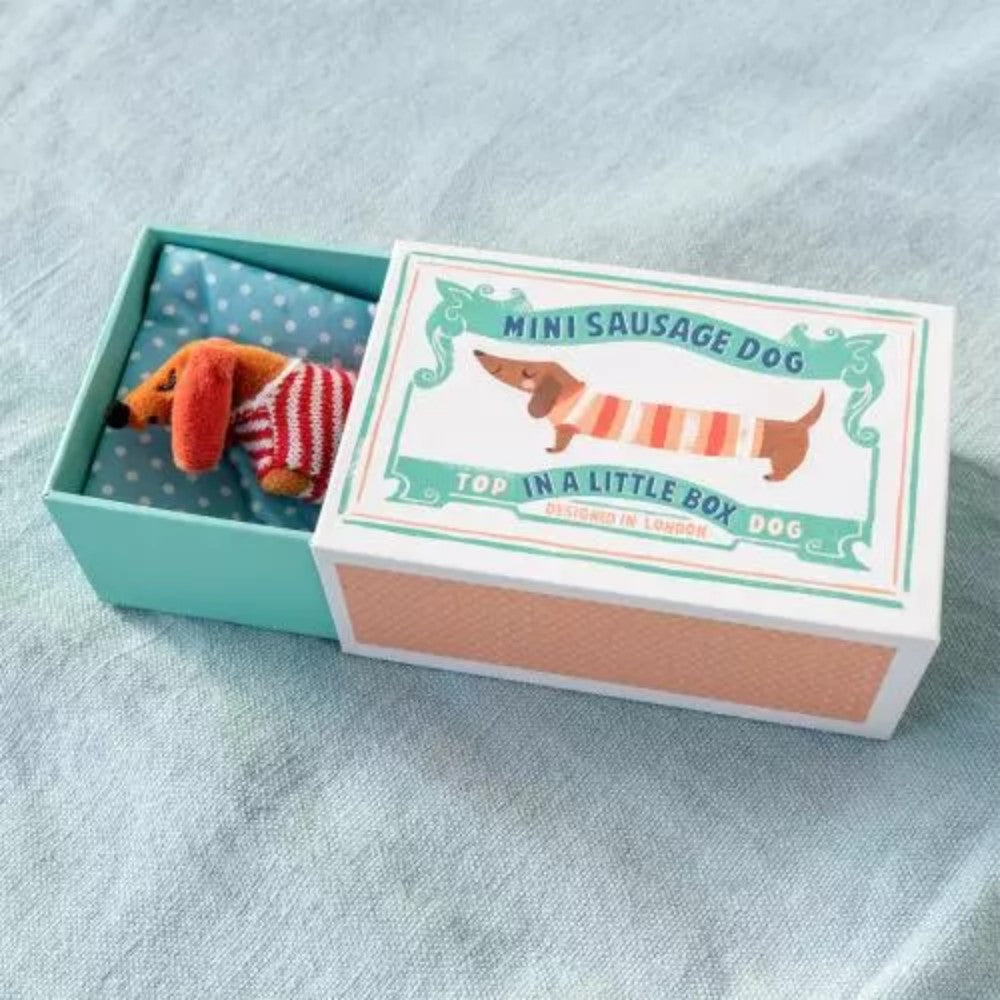 Rex London Mini Sausage Dog In A Box