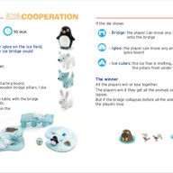 DJ08555 - Djeco Little cooperation Game